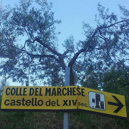 Castello Del Colle